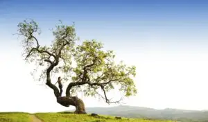 Nouvelle Heure Rédaction PV CSE et Formation